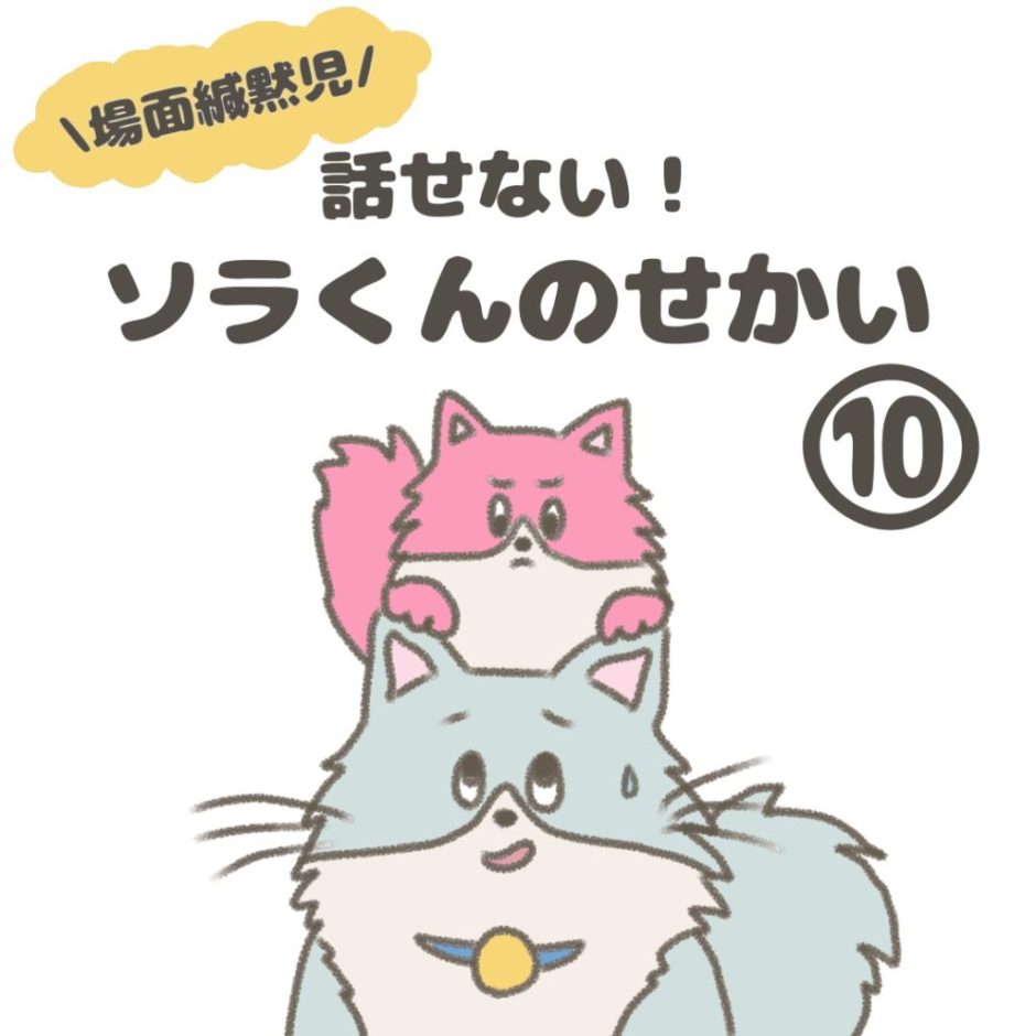 話せない！ソラくんのせかい